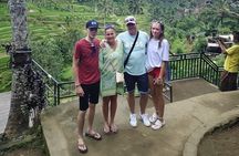 Bali Car Charter with Driver for Customize Tour 5 Hours