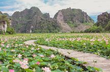Hanoi to Ninh Binh Day Trip: Mua Cave, Trang An Boat Ride - Lunch