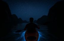 Lan Ha Bay Sunset and Bioluminescent Kayaking Tour