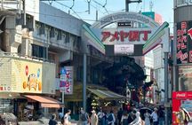Ueno Park and Ameyoko Street Food Market Half Day Walking Tour