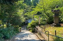 Ueno Park and Ameyoko Street Food Market Half Day Walking Tour