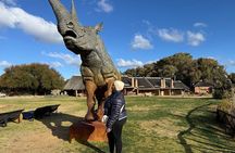 Half Day Game Drive at Aquila Reserve with Pickup