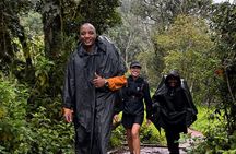 Mountain Kilimanjaro Climb Lemosho Route 6 Days