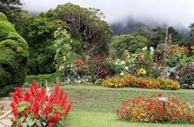 4 Days nature & culture tour Sri Lanka