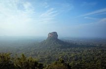 From Colombo: Sigiriya, Dambulla & Safari Day Trip 