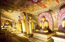 From Colombo: Sigiriya, Dambulla & Safari Day Trip 