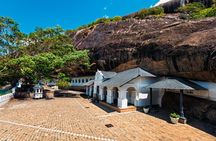 From Colombo: Sigiriya, Dambulla & Safari Day Trip 