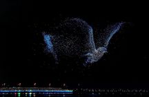 Shenzhen 0.5 or 1 Day: ”Tech Focus Tour“ or “Culture+Tech Tour”