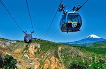Mount Fuji, Hakone and Owakudani One Day Bus Tour from Tokyo