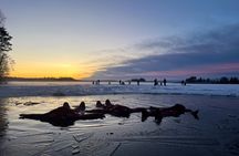 Arctic Ice Floating Experience in Rovaniemi