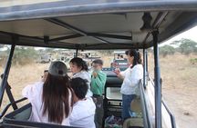 Full Day Tarangire Safari with Maasai Village Visit