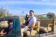 Ranthambore Safari Admission tickets : Choose your Option