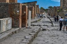 Pompeii Ruins Tour with Local Wine & Light Lunch from Naples
