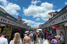 Shitamachi Experience: Asakusa Culture and Food Tour