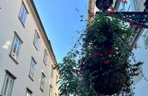 Ljubljana Historic Old Town – Private & Family-Friendly Tour