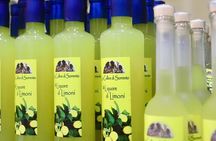 Discover Sorrento through lemons and olive trees