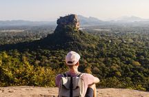 8-Day Sri Lanka Tour from Colombo – Sigiriya, Kandy & Mirissa