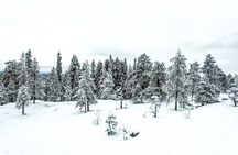  Snowshoeing experience in Lapland