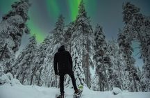  Snowshoeing experience in Lapland