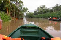 Sukau Rainforest Wildlife and Dawn Cruises Tour in Sandakan