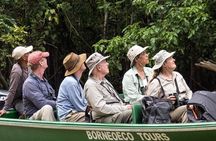 Sandakan 3 Day Sukau Rainforest Wildlife Journey and Cruises