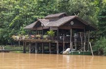 Sandakan 3 Day Sukau Rainforest Wildlife Journey and Cruises