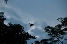 Sandakan: 2D1N Sukau Rainforest Wildlife Journey and Cruises