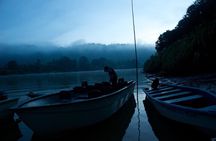 Sandakan 3 Day Sukau Rainforest Wildlife Journey and Cruises