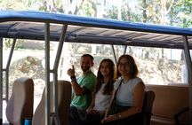 Borobudur Half Day All Inclusive Guided Tour With Hotel Transfer