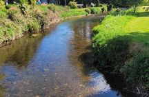 Blarney Castle,Kinsale & Cobh Awarded viator badge of excellence 