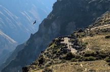 All inclusive Full day tour Colca Canyon: all Meals & Entrances