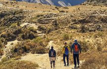 All inclusive Full day tour Colca Canyon: all Meals & Entrances