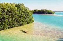Sian Kaan Reserve Bike Tour & Meal