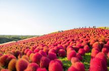 Hitachi Autumn Seaside Park, Fukuroda Falls & Ryujin Brg fr Tokyo