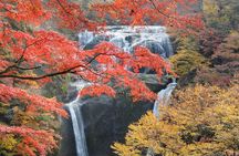 Hitachi Autumn Seaside Park, Fukuroda Falls & Ryujin Brg fr Tokyo