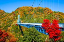 Hitachi Autumn Seaside Park, Fukuroda Falls & Ryujin Brg fr Tokyo