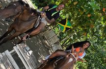 Horseback Riding and Ocean Swim from Montego Bay Hotels