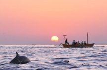 Lovina Family Adventure Dolphins, Sunrise and Snorkeling