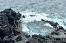 Reykjanes Peninsula Private Tour 