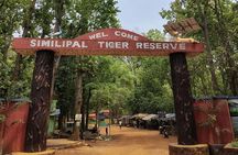 Bhubaneshwar to Similipal National Park Expedition