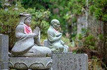 Nachi Waterfall, Mount Koya & Wakayama Tour with Two Options