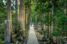 Nachi Waterfall, Mount Koya & Wakayama Tour with Two Options
