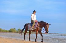 Krabi Beach Horse Riding Adventure