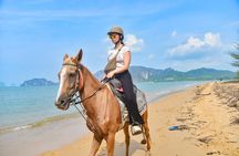 Krabi Beach Horse Riding Adventure