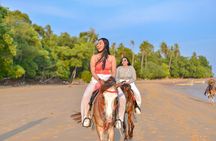 Krabi Beach Horse Riding Adventure
