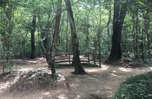 Private History Tour Cu Chi Tunnels and Saigon City Tour