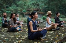 Bhaya Soul Cruise Retreat 2 Days and 1 Night on Halong Bay