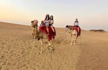Premium Red Dunes Safari | Camel Ride | Dune Bashing | Sand Ski 