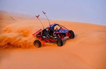 Thrilling Self Drive Dune Buggy Camel Trek, BBQ and Entertainment