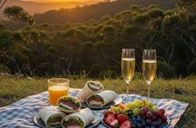 Melbourne wildlife nature hike with Kangaroos and sunset picnic!